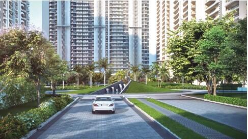 The Cambium