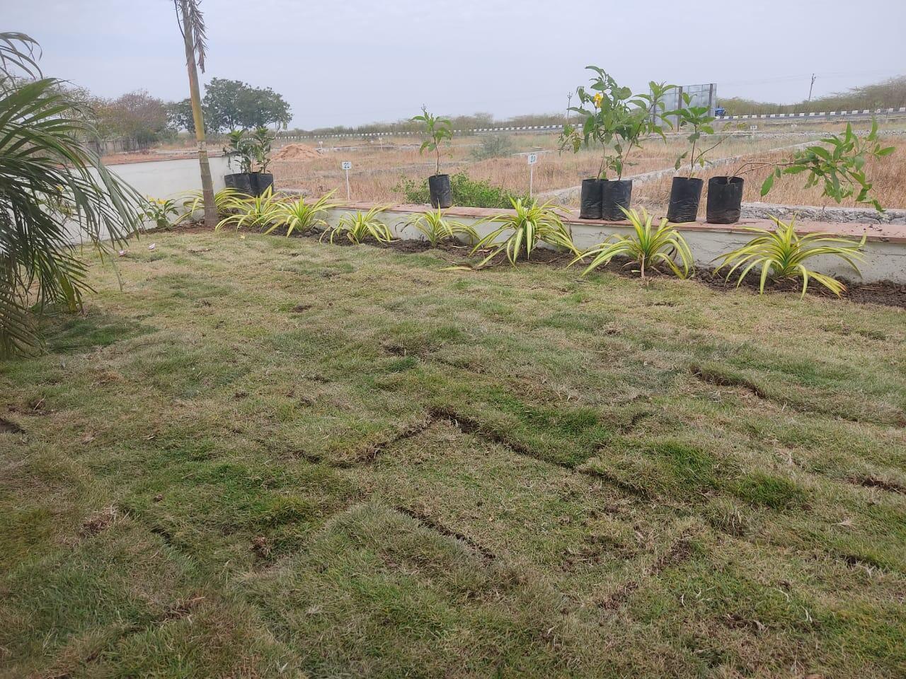 Premium Plot - Magnanimous Greenz