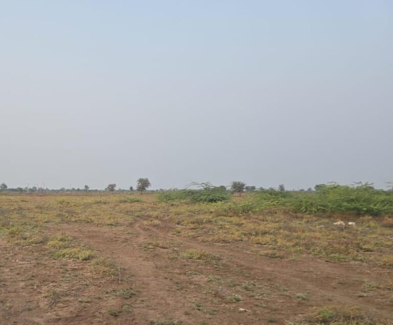 Dholera, Ahmedabad