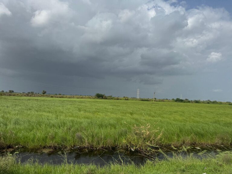 BULK LAND
