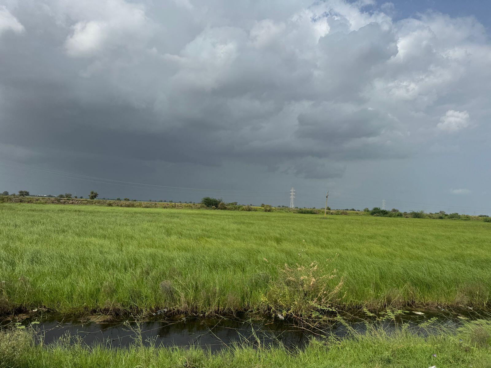 BULK LAND