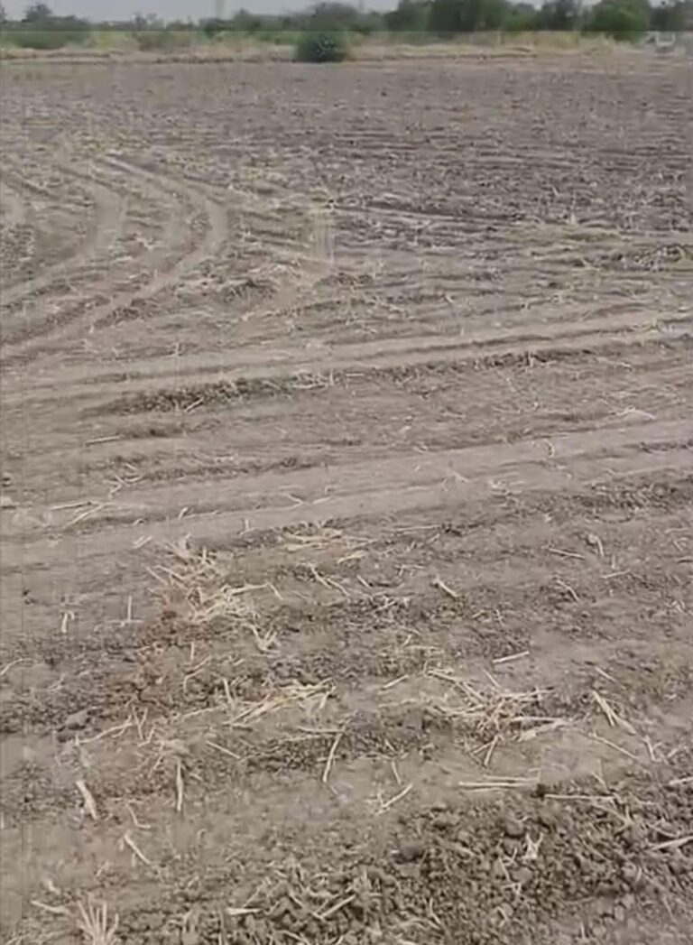 Dholera, Ahmedabad