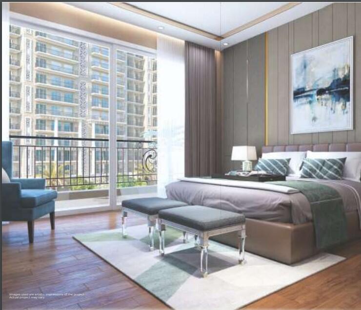 Prateek Grand Begonia