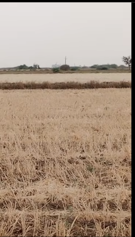 Dholera, Ahmedabad