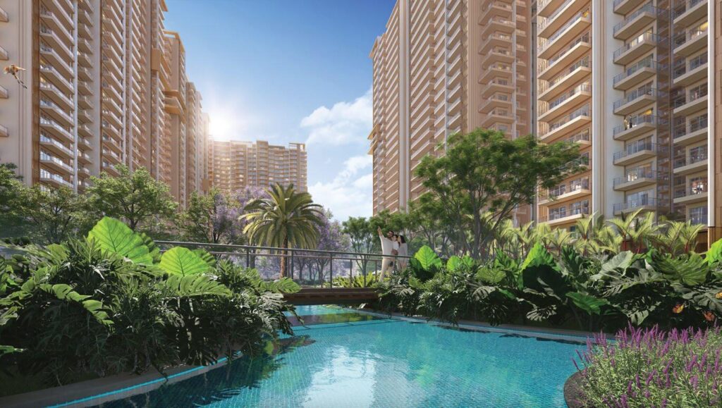 Ivory County