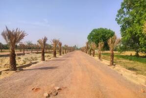 PLOT FOR SALE IN DHOLERA