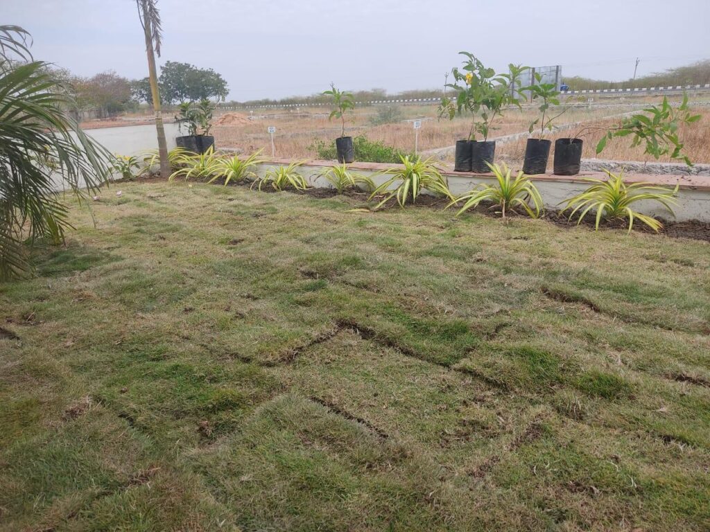 PLOT FOR SALE IN DHOLERA