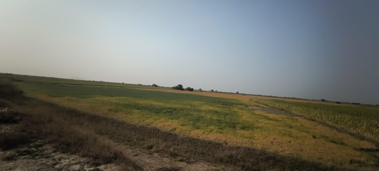 Dholera, Ahmedabad