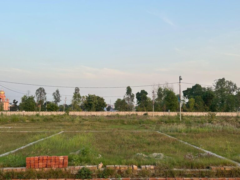 The iconic dholera