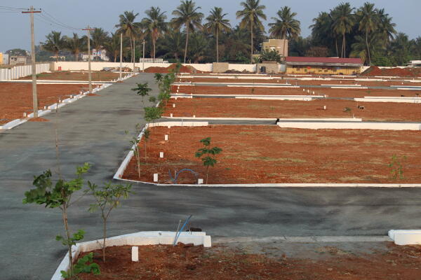 PLOT FOR SALE IN DHOLERA