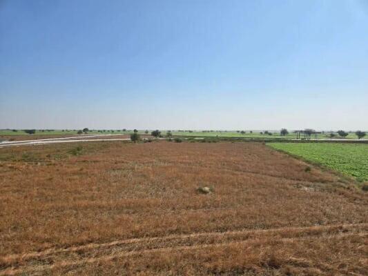 PLOT SALE IN DHOLERA