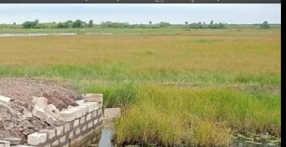 Dholera, Ahmedabad