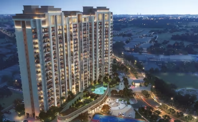 Shalimar Garden Bay Crown